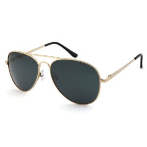 Aviator F Series SUNGLASSES PILOT BLACK / GOLD